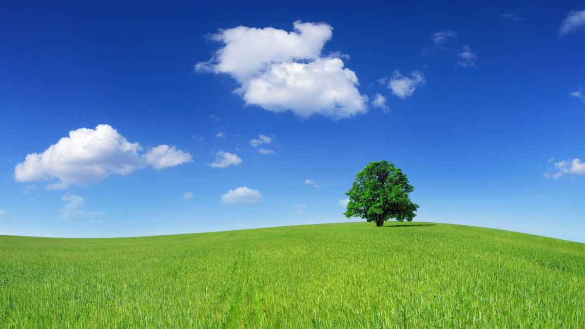 Diagnostics pollution immobilier obligations et prix Diagnostics pollution immobilier obligations et prix