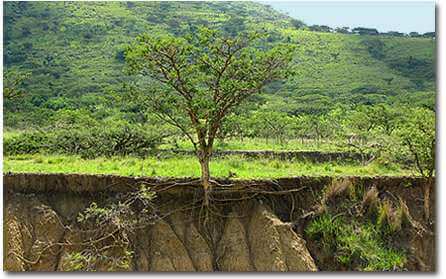 Diagnostic de pollution