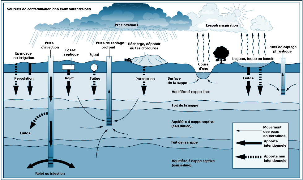 Soil pollution, forms, transfers