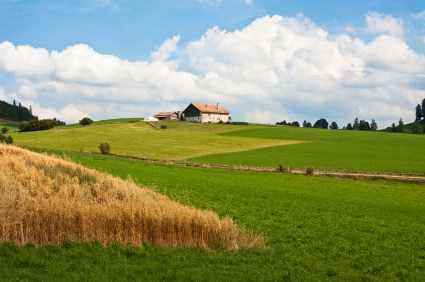 pollution diagnostic terrain agricole