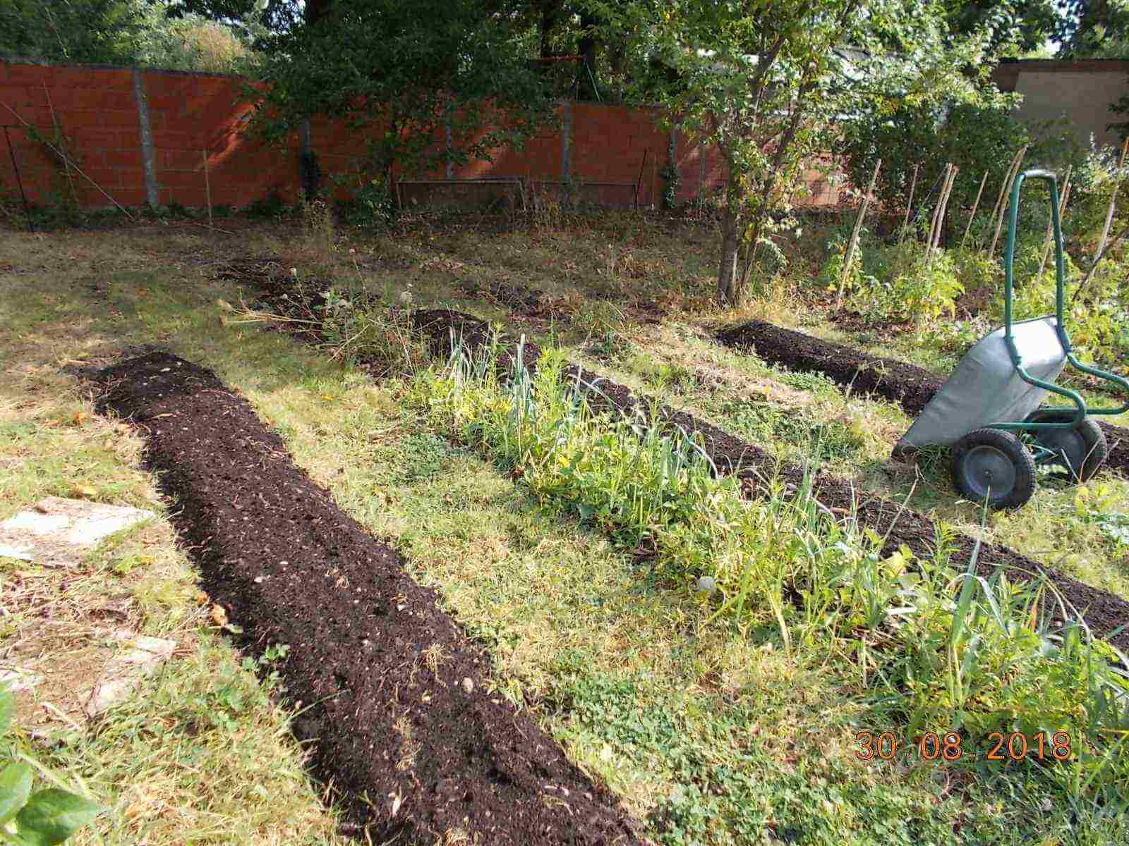 Analyse pollution jardin