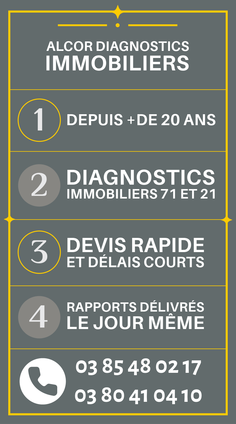 Diagnostics immobiliers Chalon-sur-Saône et département