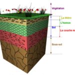 Seuils des valeurs pollutions des sols