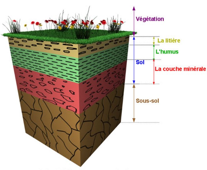 Seuils des valeurs pollutions des sols 