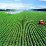 Agriculture ou elevage intensif et pollutions des sols