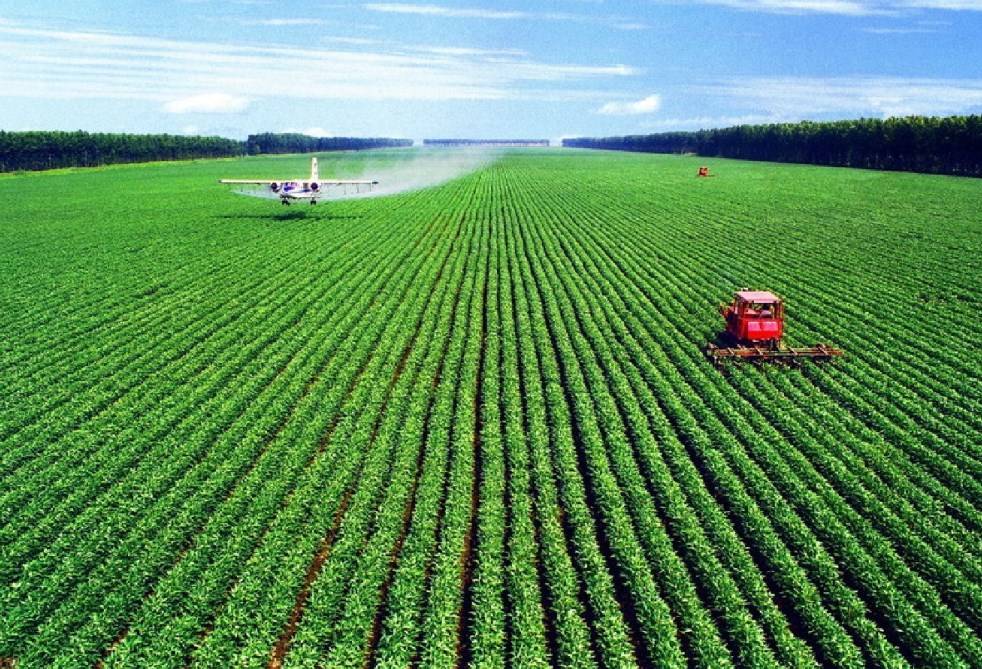 Agriculture ou élevage intensif et pollutions des sols