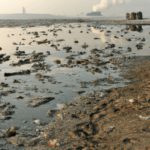 La pollution du sol et cancers
