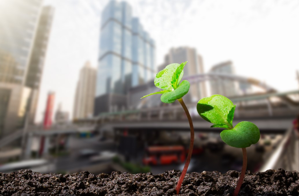 Quelle est la méthodologie de gestion des sites et sols pollué ?