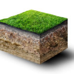 cut of soil with grass