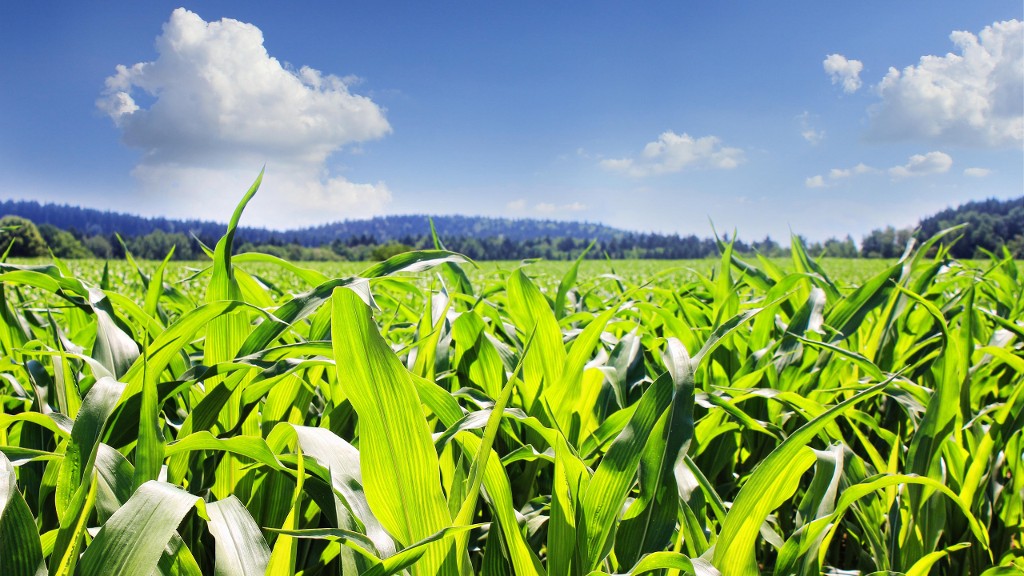 Pollution des sols et sécurité alimentaire