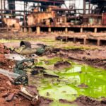 Directive européenne surveillance et résilience des sols Surveillance et résilience des sols