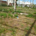 sondages jardin pollution sols sondages jardin