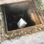 Diagnostic pollution vente Diagnostic pollution vente