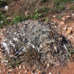 Diagnostic pollution friche, déchets brûles Diagnostic pollution friche, déchets brûles