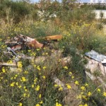 Pollutions et déchets jonchant les sols Pollutions et déchets jonchant les sols