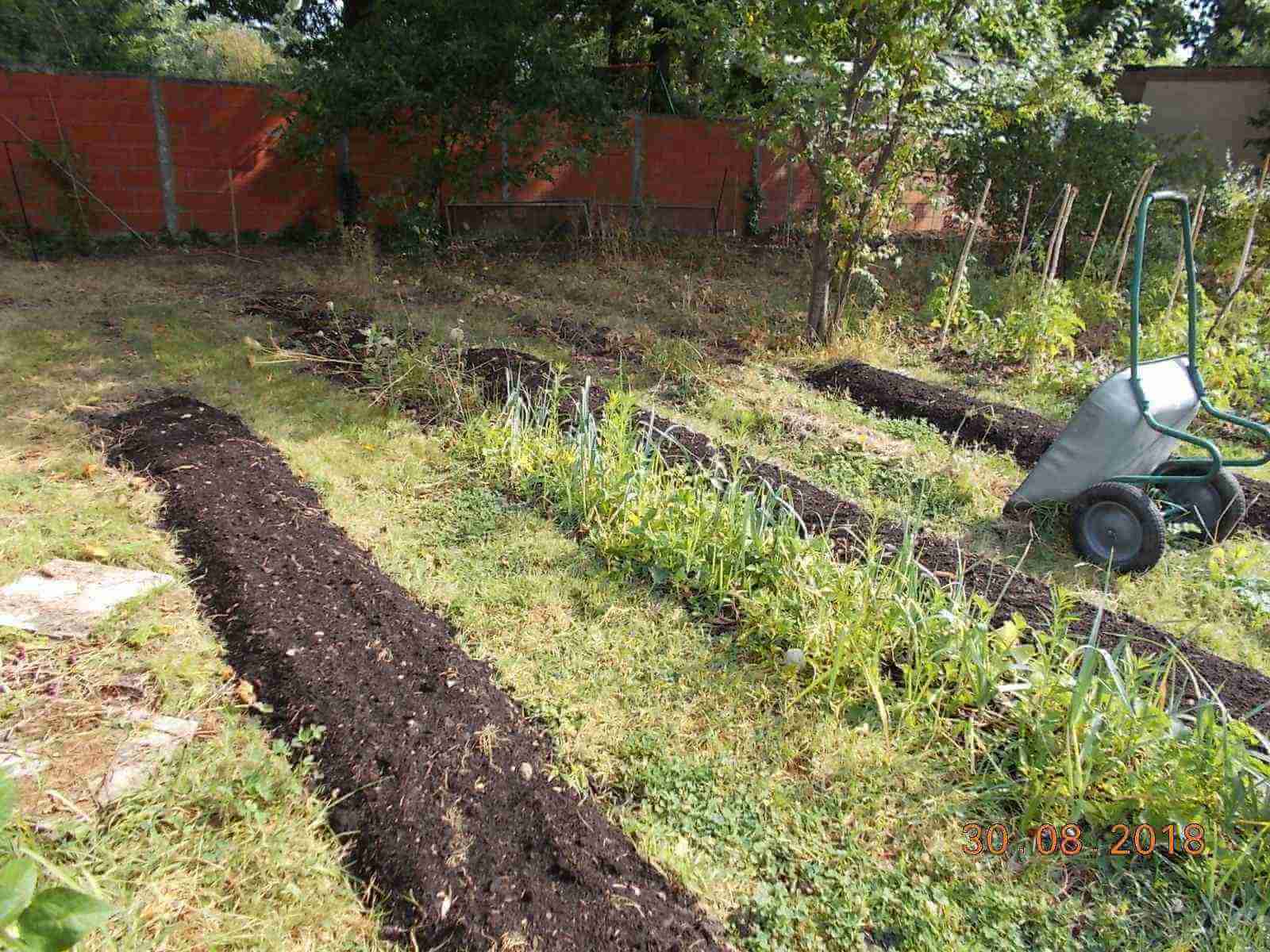 analyse pollution jardin